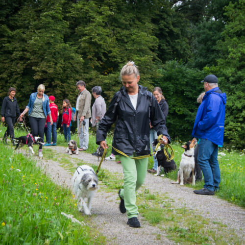 Spaziergang in Mindelheim