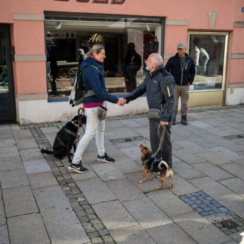 Stadtspaziergang 22.10.2023 in Mindelheim