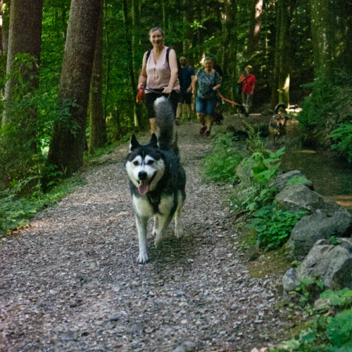 Waldspaziergang Ottobeuren 2025
