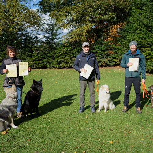 Begleithundeprüfung 2025