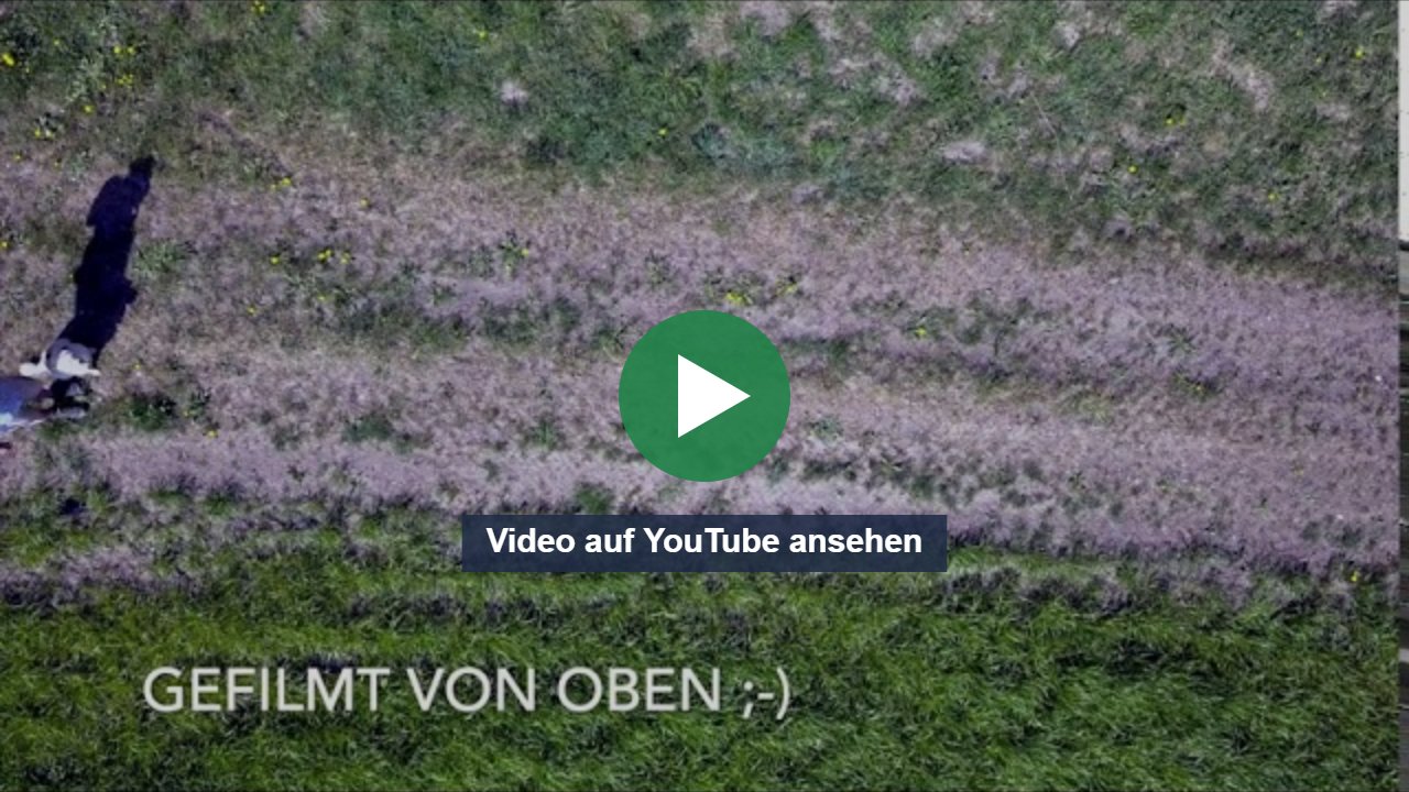 Vorschaubild: Video auf YouTube ansehen