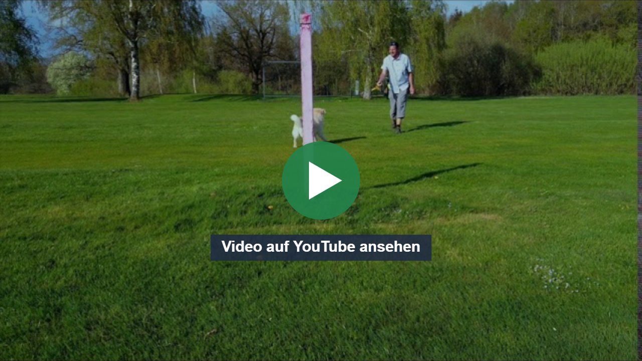 Vorschaubild: Video auf YouTube ansehen